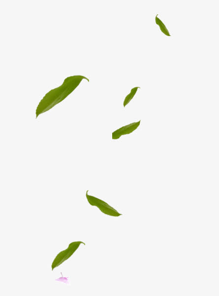 漂浮树叶免抠漂浮叶子元素