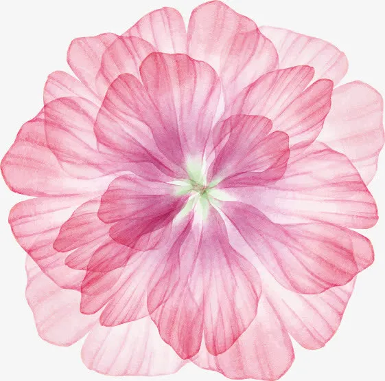 粉色多层花朵春天免抠