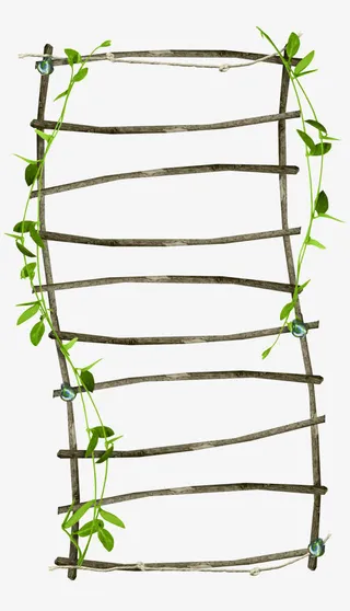 枝叶装饰木框免抠