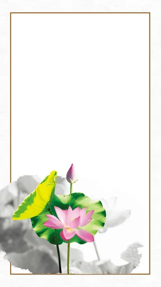 中国风荷花psd分层H5背景高清