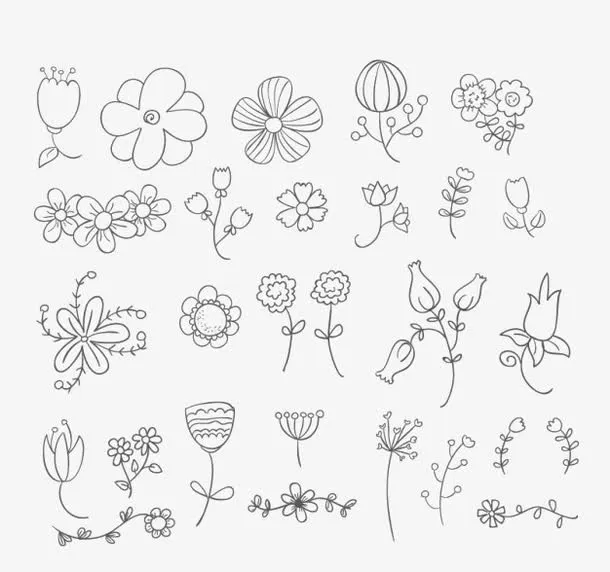 黑白植物素材免抠