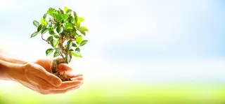 环保背景高清