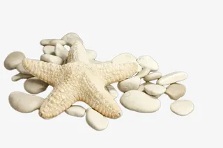 白色粗糙椭圆形不规则鹅卵石实物免抠