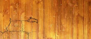 有动物暗纹的木板高清