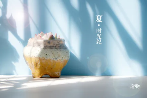 小清新多肉植物盆栽高清