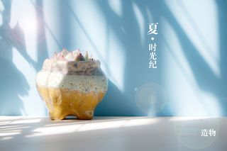 小清新多肉植物盆栽高清