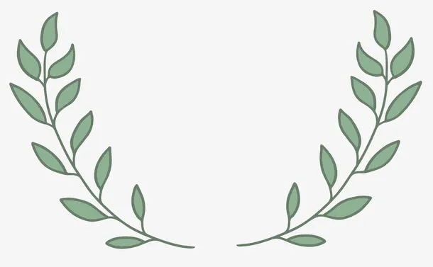 ppt装饰插画绿叶边框免抠