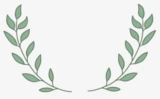 ppt装饰插画绿叶边框免抠