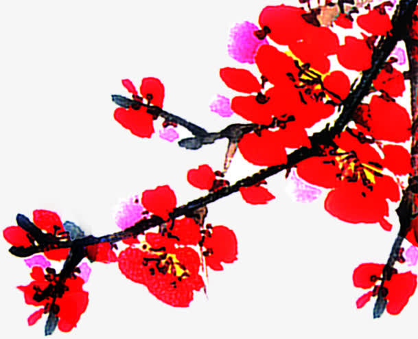 红色梅花水彩画树枝免抠