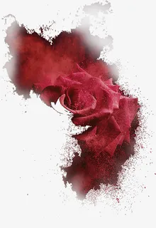 红色燃烧破碎玫瑰花免抠