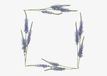 薰衣草边框素材免抠