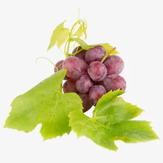 红提高清图片免抠