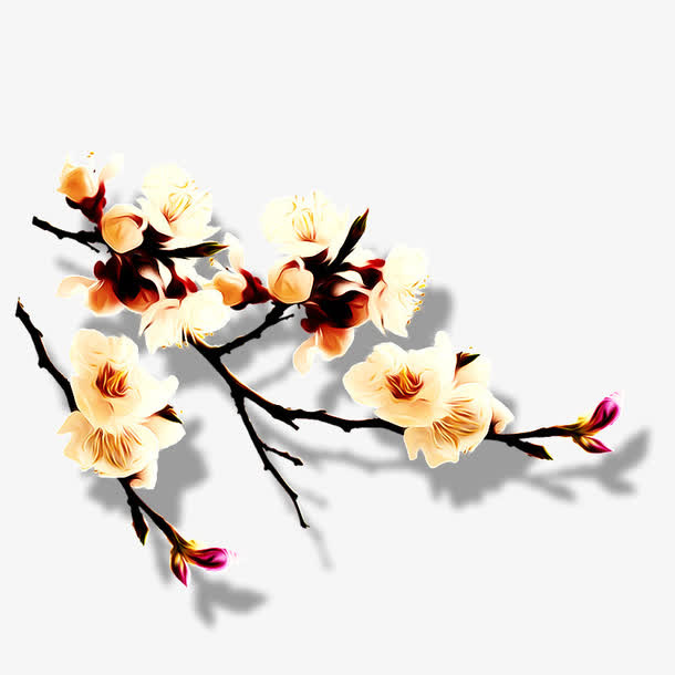 梅花免抠