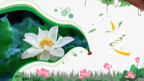 立夏荷花树枝二十四节气免抠