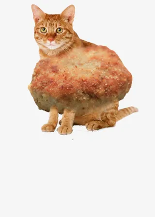 炸鸡猫效果元素免抠