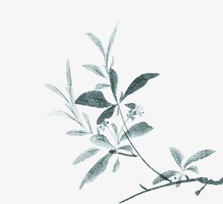 春天中国风、水墨山水画、杨柳、踏春免抠