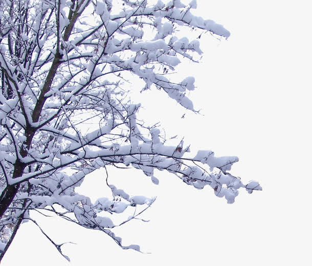 冬日户外雪地美景免抠