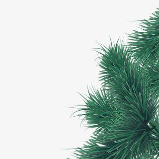 松柏延年圣诞节装饰元素免抠