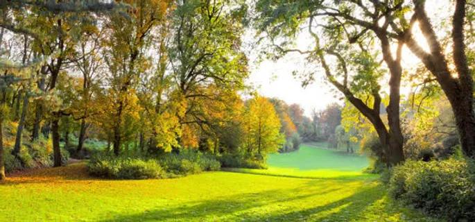 秋季野外自然风光免抠