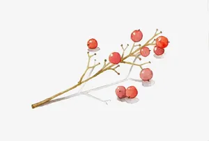 植物免抠