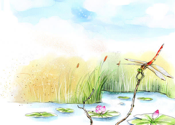 莲花蜻蜓背景