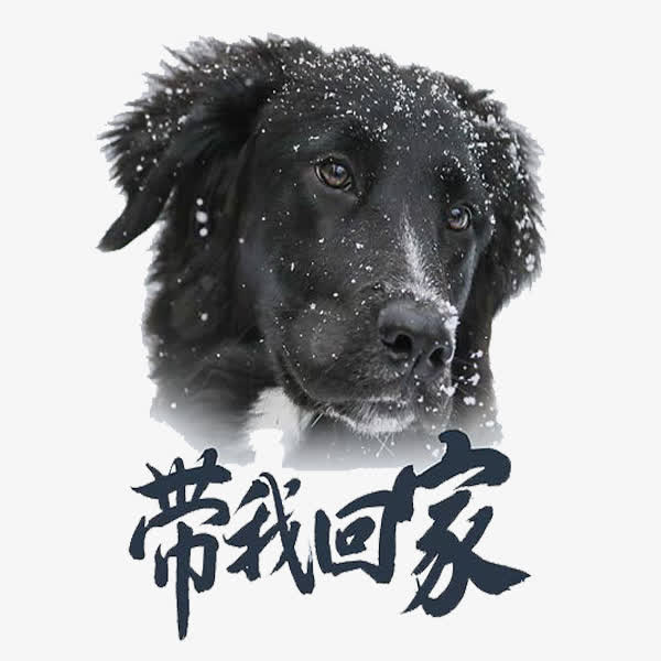 可怜的狗狗免抠