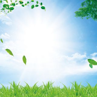 夏日生态绿色生活高清