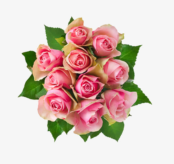 鲜花免抠