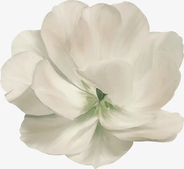 装饰图片质感纹理图片免抠