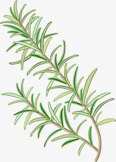 植物火锅食物香料免抠