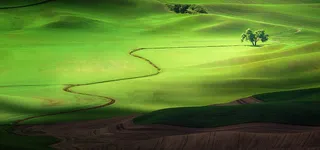 唯美艺术背景高清