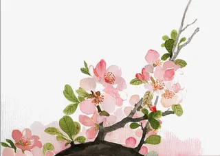 土地上长出的桃花免抠