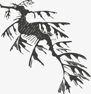 手绘黑白昆虫免抠