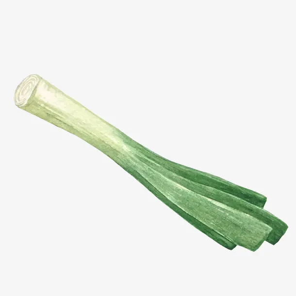 水彩大葱免抠