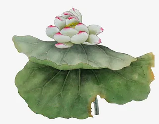 水墨荷花免抠