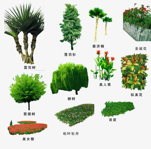 绿色植物免抠