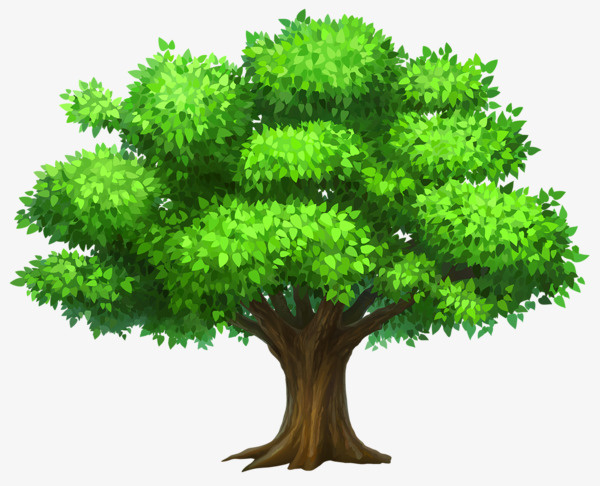 植物树叶和树没果免抠