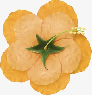 花褶皱装饰免抠