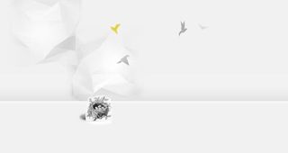 鸟儿放飞回归鸟巢免抠