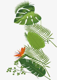 枝条绿叶PNG下载免抠