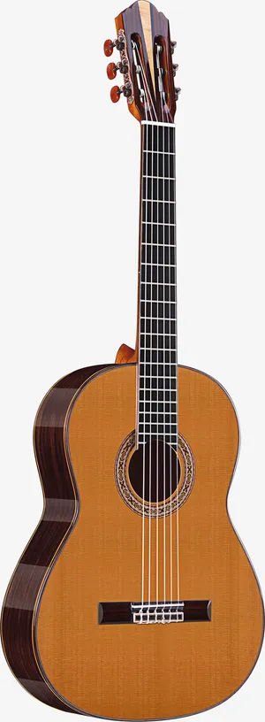 红松玫瑰木古典吉他免抠