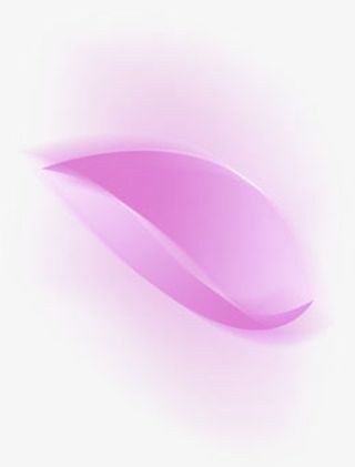 紫色漂浮花瓣单独免抠