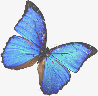 浅蓝中国风蝴蝶七夕免抠