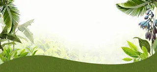 春天文艺小清新渐变绿banner高清