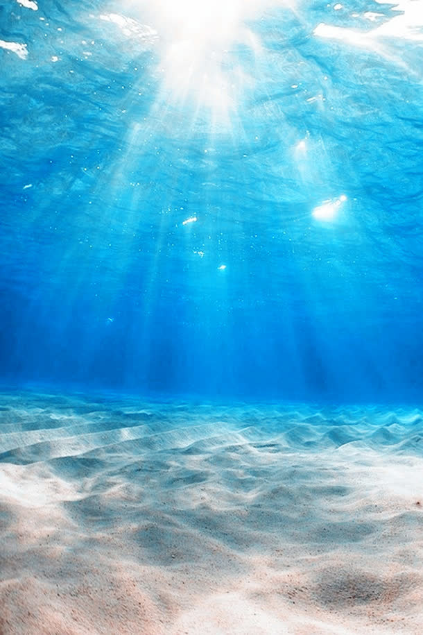 蓝色天猫背景图免抠