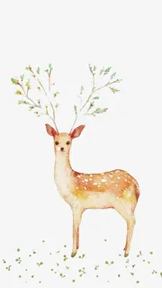 清新小鹿图片素材免抠