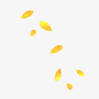 黄色花瓣漂浮花朵免抠