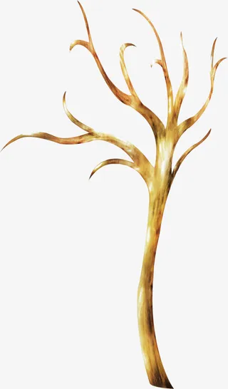 树枝免抠