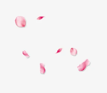花瓣免抠