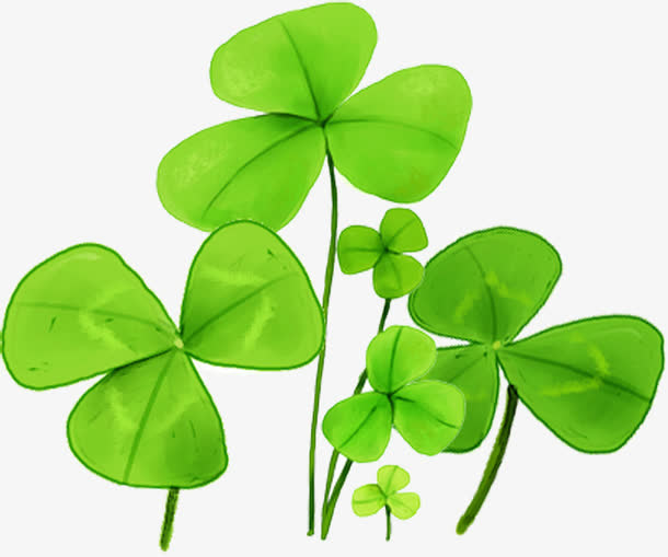 手绘春季三叶植物免抠